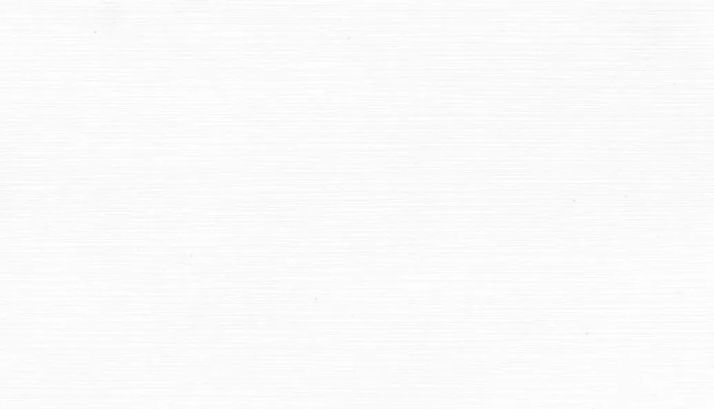 Супер Белый 017 E 2U 3000*1200 38 мм Тр